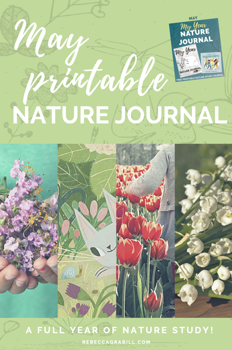 Free+Printable+nature+journal+for+the+book+A+Year+With+Mama+Earth+by+Rebecca+Grabill+Rebecca+Green