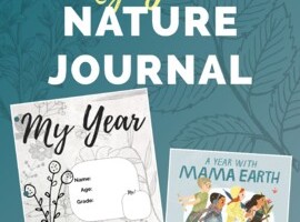 JUNE My Year Nature Journal Free Printable teachers pay teachers